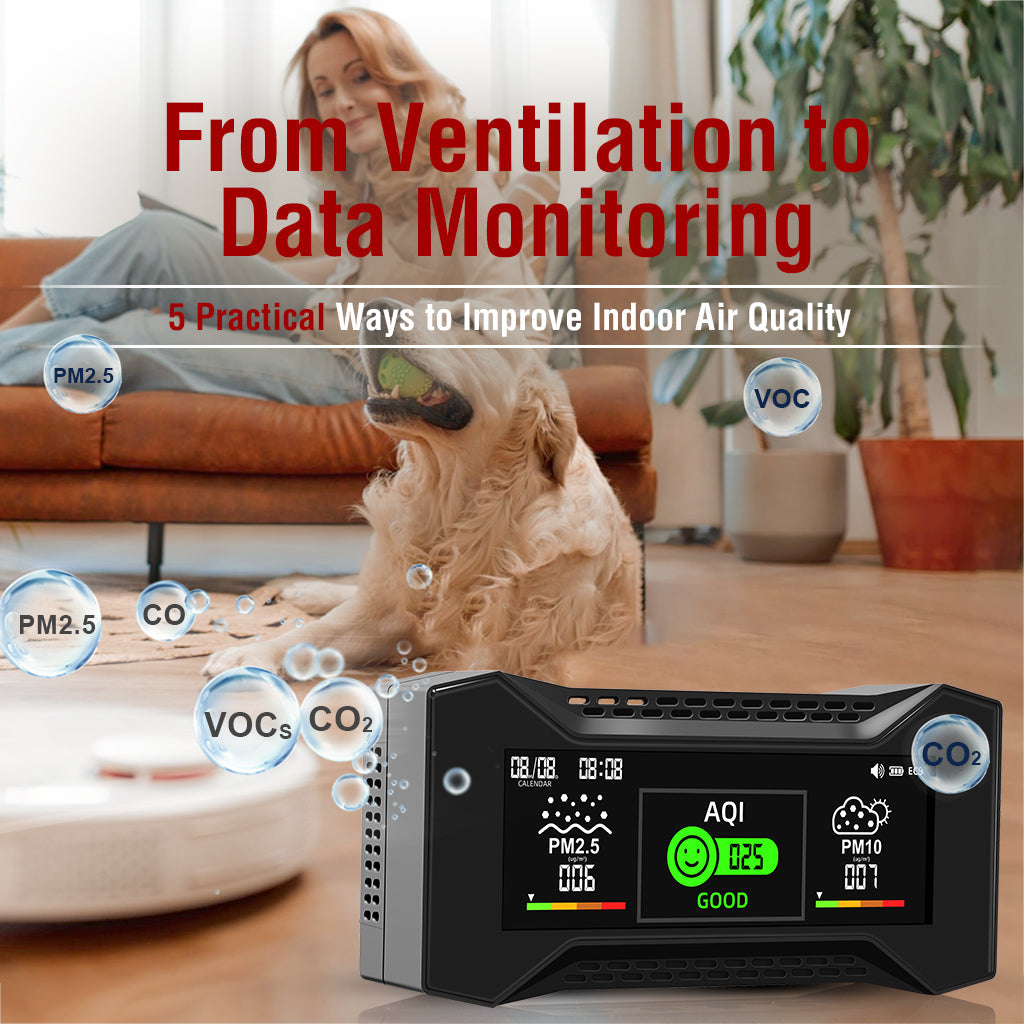 From Ventilation to Data Monitoring: 5 Practical Ways to Improve Indoor Air Quality